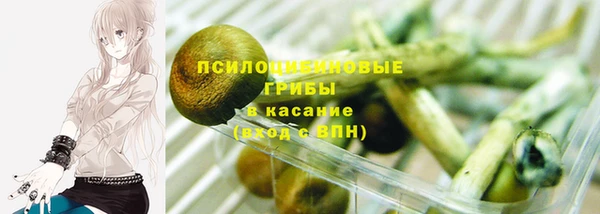 гидропоника Алзамай