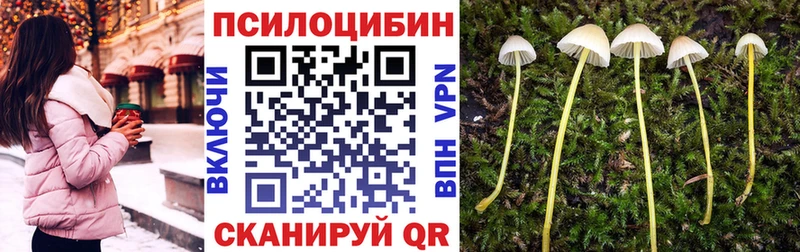 Псилоцибиновые грибы Psilocybine cubensis  omg   Салават  купить наркоту 